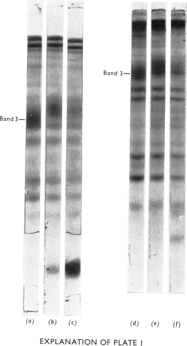 https://cdn.ncbi.nlm.nih.gov/pmc/blobs/d05a/1172572/2580a6c40901/biochemj00542-0146-a.jpg