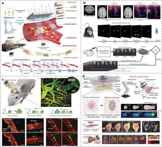 https://cdn.ncbi.nlm.nih.gov/pmc/blobs/d05b/11809411/7816344897e5/ADVS-12-2408653-g016.jpg