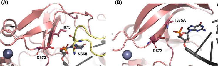 https://cdn.ncbi.nlm.nih.gov/pmc/blobs/d05c/11346460/60e10e94633b/BST-52-1131-g0007.jpg