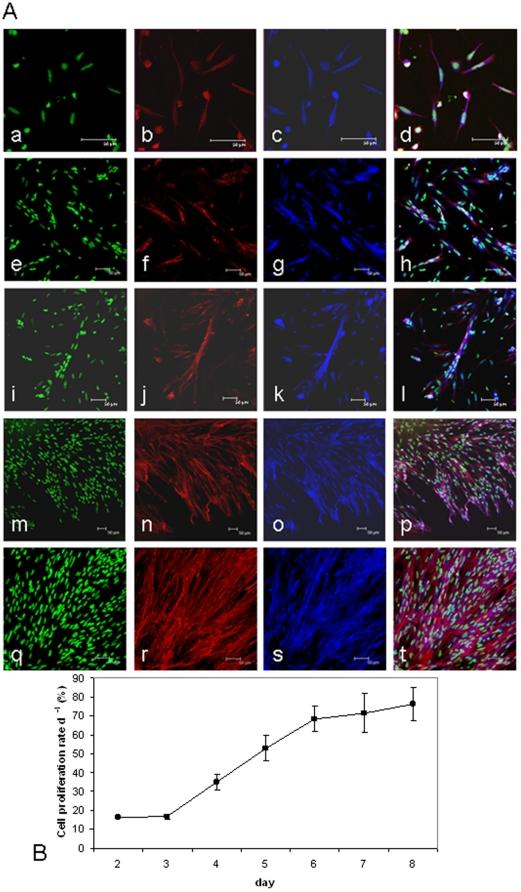 https://cdn.ncbi.nlm.nih.gov/pmc/blobs/d05c/2885424/07562891b30f/pone.0011100.g001.jpg