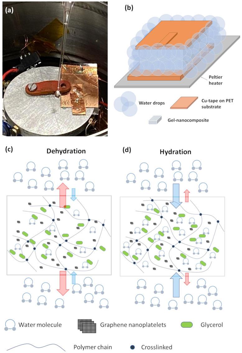 https://cdn.ncbi.nlm.nih.gov/pmc/blobs/d05d/10856540/447bdd69f6ce/nanomaterials-14-00283-g007.jpg