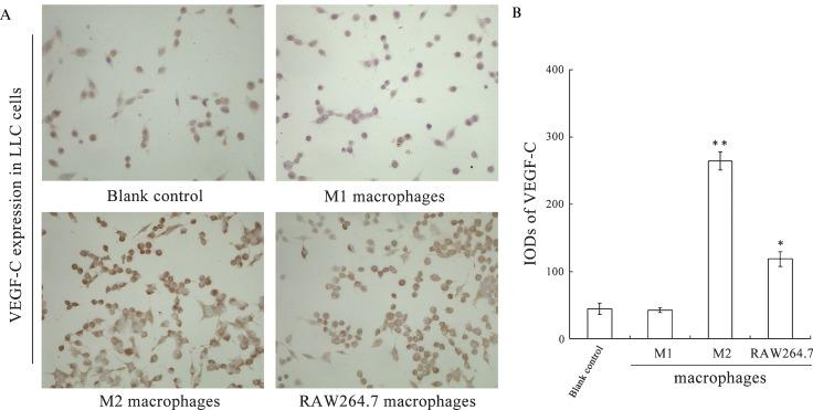 https://cdn.ncbi.nlm.nih.gov/pmc/blobs/d05d/3416895/8d07ab5b123a/cln-67-08-901-g003.jpg