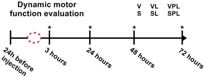 https://cdn.ncbi.nlm.nih.gov/pmc/blobs/d05e/4938492/0e35ba44fbb9/pone.0158980.g001.jpg