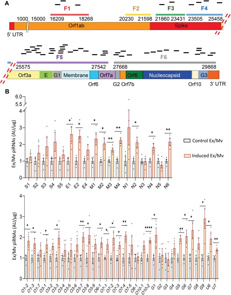 https://cdn.ncbi.nlm.nih.gov/pmc/blobs/d05e/8645330/99f3cff80c39/LSA-2021-01240_Fig4.jpg