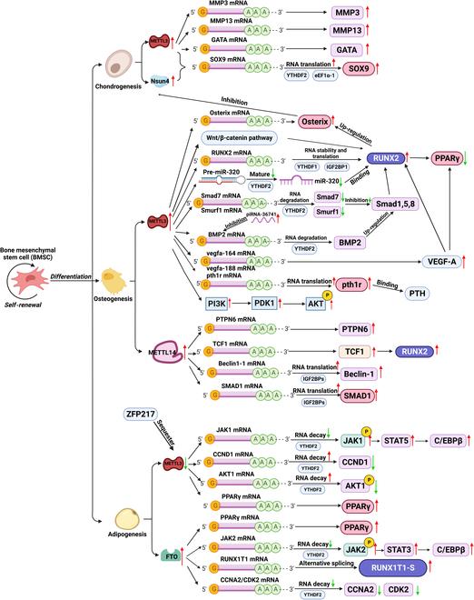 https://cdn.ncbi.nlm.nih.gov/pmc/blobs/d060/11045264/63901d3cf2c4/research.0340.fig.002.jpg