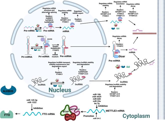 https://cdn.ncbi.nlm.nih.gov/pmc/blobs/d060/11045264/6c4dcfdb80be/research.0340.fig.001.jpg