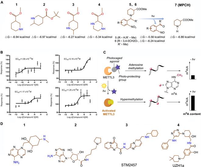 https://cdn.ncbi.nlm.nih.gov/pmc/blobs/d060/11045264/d65227eabf97/research.0340.fig.006.jpg