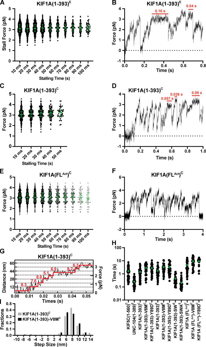 https://cdn.ncbi.nlm.nih.gov/pmc/blobs/d060/7844421/0de6a3394a3e/JCB_202004227_FigS3.jpg