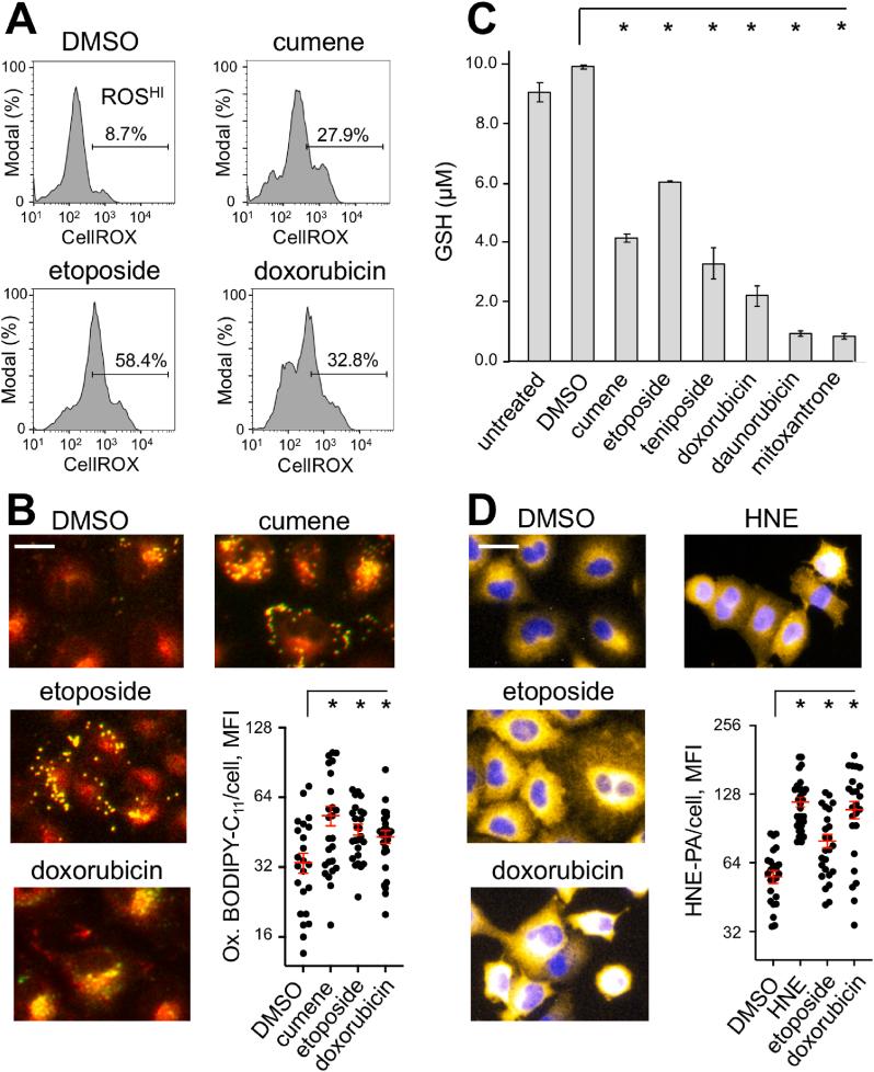 https://cdn.ncbi.nlm.nih.gov/pmc/blobs/d064/11810846/4da8fa819120/gr1.jpg