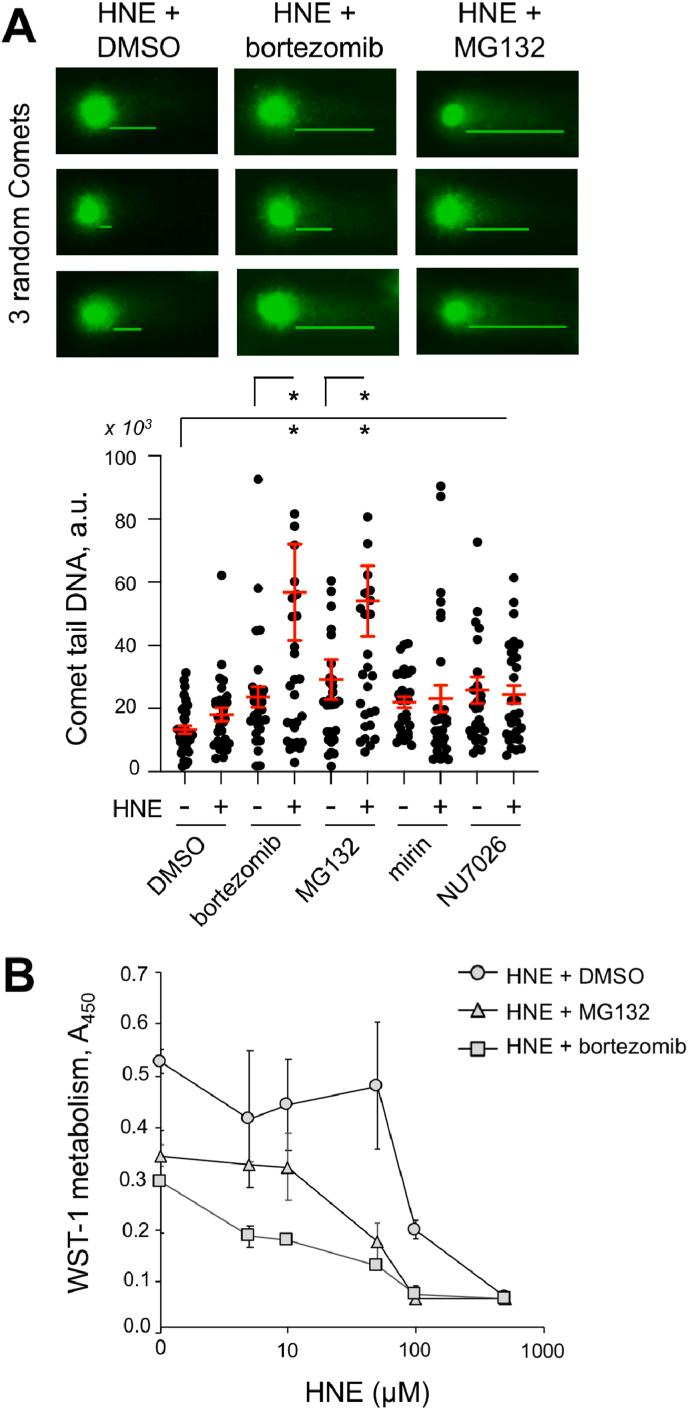 https://cdn.ncbi.nlm.nih.gov/pmc/blobs/d064/11810846/83ad066890a2/gr5.jpg