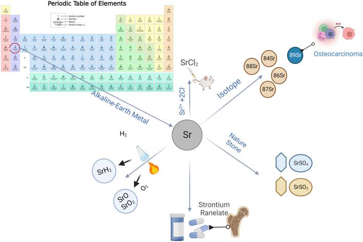 https://cdn.ncbi.nlm.nih.gov/pmc/blobs/d067/11007224/e19deee2e923/fchem-12-1367395-g002.jpg