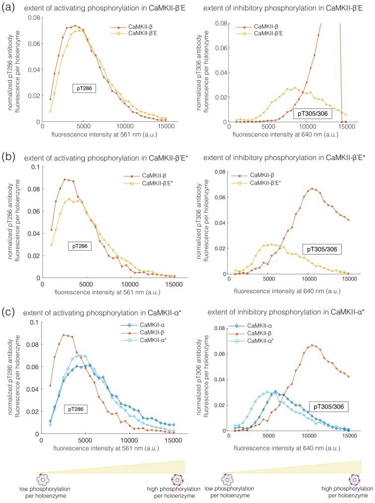 https://cdn.ncbi.nlm.nih.gov/pmc/blobs/d067/7141811/194e24f463e3/elife-53670-fig3-figsupp3.jpg