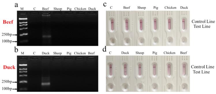 https://cdn.ncbi.nlm.nih.gov/pmc/blobs/d067/7601885/aa7b65d4b1a1/animals-10-01765-g002.jpg