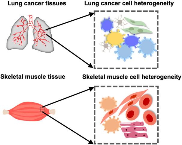 https://cdn.ncbi.nlm.nih.gov/pmc/blobs/d068/9846559/234118aa3ee1/fgene-13-1100016-g001.jpg