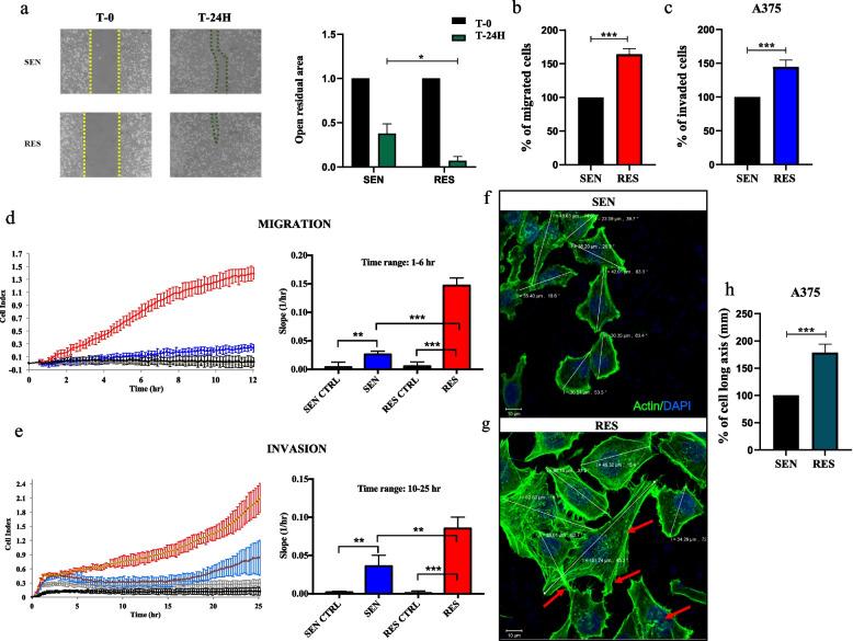 https://cdn.ncbi.nlm.nih.gov/pmc/blobs/d069/10680267/123ce031ac3b/13046_2023_2878_Fig1_HTML.jpg