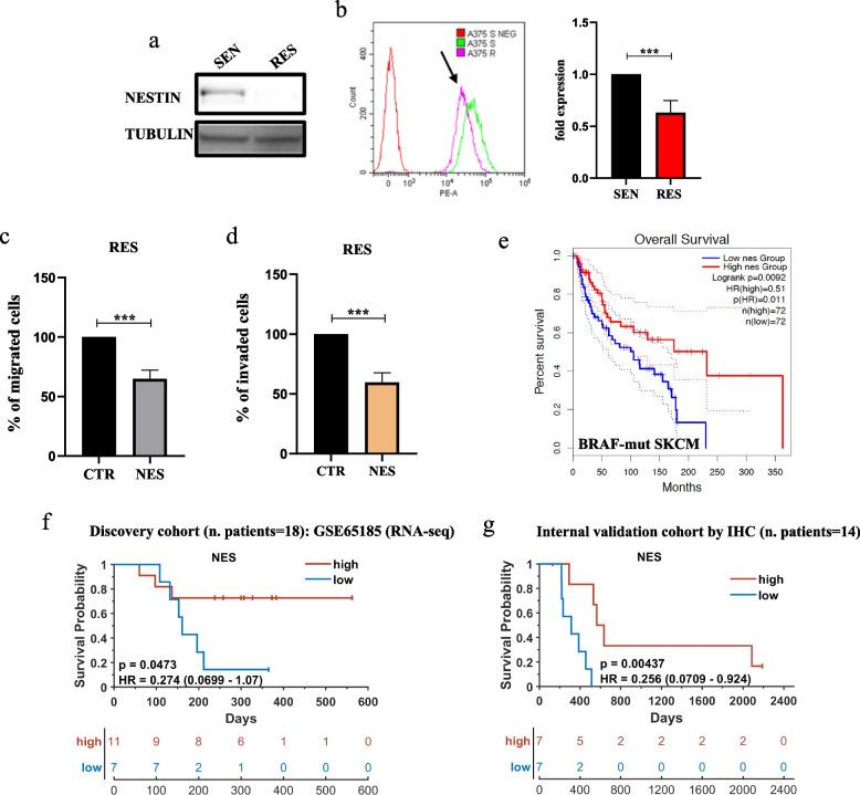 https://cdn.ncbi.nlm.nih.gov/pmc/blobs/d069/10680267/704ed5bfbea0/13046_2023_2878_Fig4_HTML.jpg
