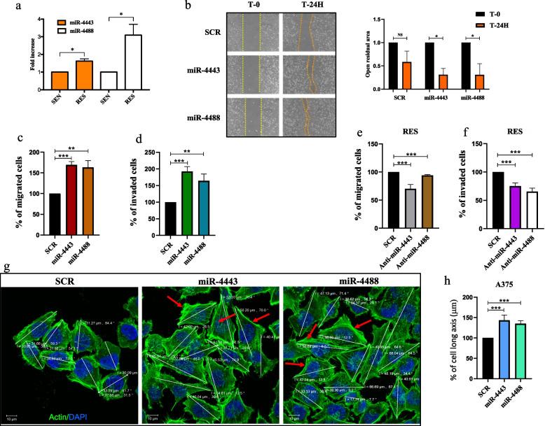 https://cdn.ncbi.nlm.nih.gov/pmc/blobs/d069/10680267/dab53b85634d/13046_2023_2878_Fig2_HTML.jpg