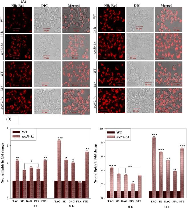 https://cdn.ncbi.nlm.nih.gov/pmc/blobs/d06a/6785544/7ff37ad42358/41598_2019_51054_Fig4_HTML.jpg