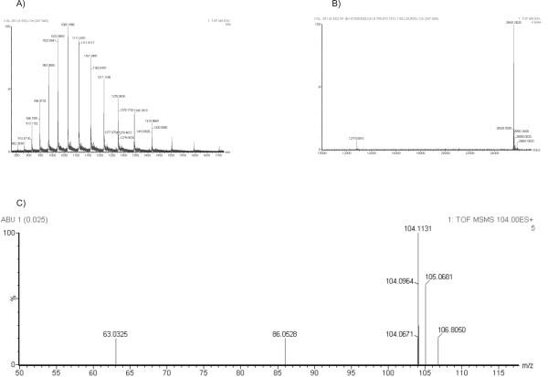 https://cdn.ncbi.nlm.nih.gov/pmc/blobs/d06b/1955443/5ceb367c5ed9/1472-6807-7-52-5.jpg