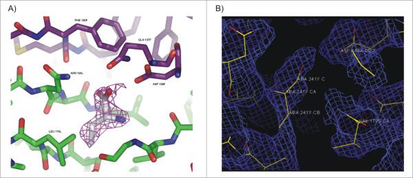 https://cdn.ncbi.nlm.nih.gov/pmc/blobs/d06b/1955443/e081fe18fae6/1472-6807-7-52-3.jpg