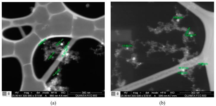 https://cdn.ncbi.nlm.nih.gov/pmc/blobs/d06d/7690669/9a475266b7b9/nanomaterials-10-02099-g001a.jpg