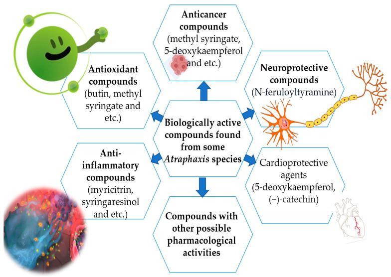 https://cdn.ncbi.nlm.nih.gov/pmc/blobs/d06f/10891555/d6bed5af0d6a/molecules-29-00910-g003.jpg