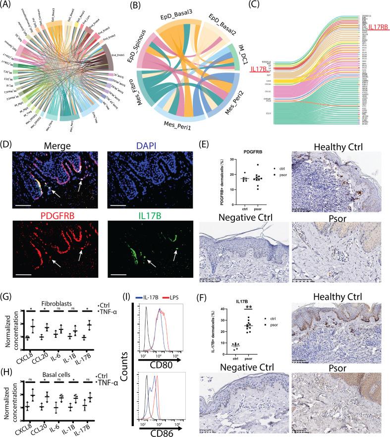 https://cdn.ncbi.nlm.nih.gov/pmc/blobs/d06f/8102483/d13c6b657406/41419_2021_3724_Fig4_HTML.jpg