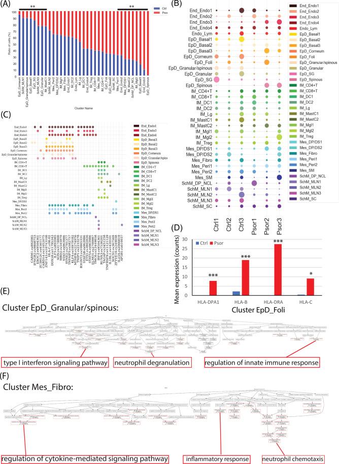 https://cdn.ncbi.nlm.nih.gov/pmc/blobs/d06f/8102483/d31f24a7f721/41419_2021_3724_Fig3_HTML.jpg