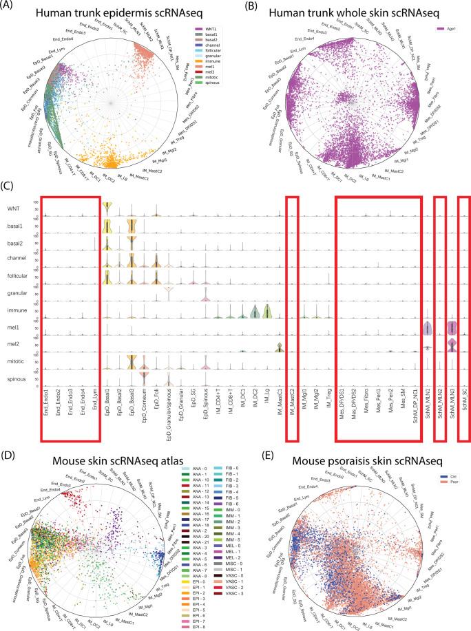 https://cdn.ncbi.nlm.nih.gov/pmc/blobs/d06f/8102483/fabe2a469db1/41419_2021_3724_Fig2_HTML.jpg