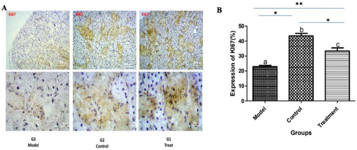 https://cdn.ncbi.nlm.nih.gov/pmc/blobs/d070/7551326/526a3aa80385/gr3.jpg