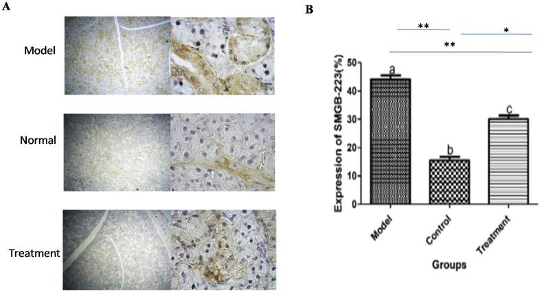 https://cdn.ncbi.nlm.nih.gov/pmc/blobs/d070/7551326/7a21c3d48d1a/gr4.jpg