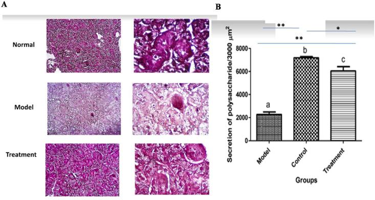 https://cdn.ncbi.nlm.nih.gov/pmc/blobs/d070/7551326/7e803a14f0c8/gr5.jpg