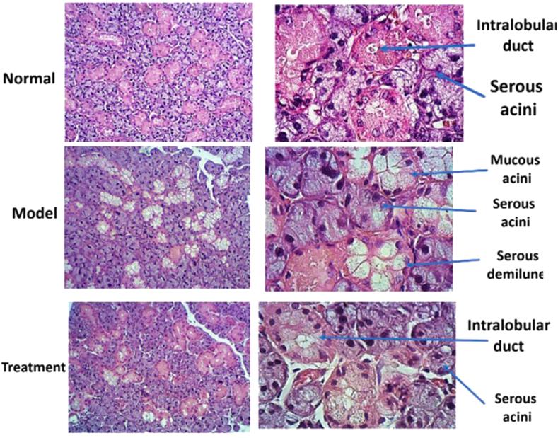 https://cdn.ncbi.nlm.nih.gov/pmc/blobs/d070/7551326/a1e278266ec3/gr7.jpg
