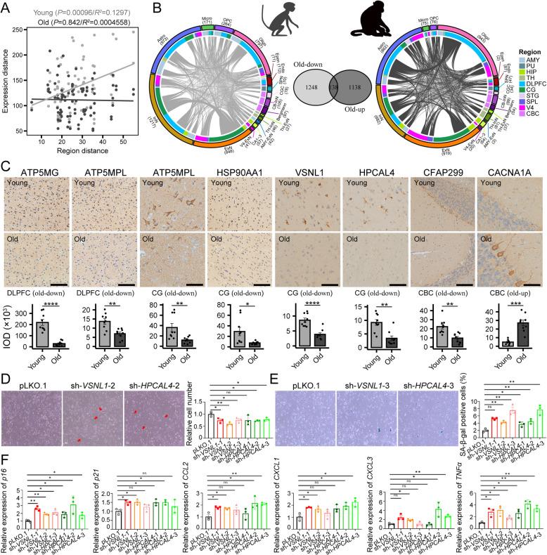 https://cdn.ncbi.nlm.nih.gov/pmc/blobs/d071/12038948/02c743328a55/13073_2025_1469_Fig5_HTML.jpg