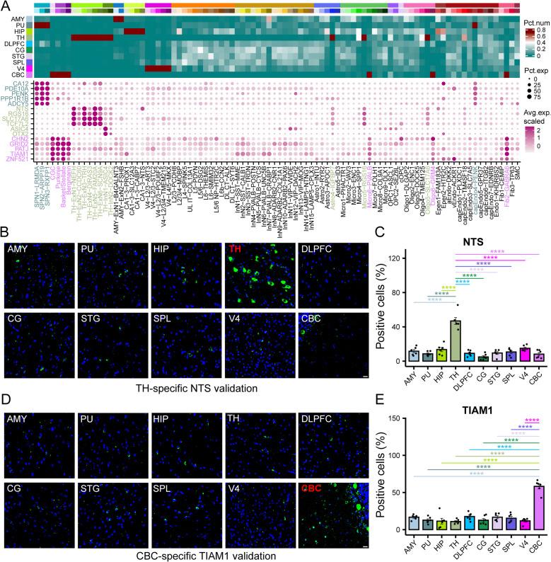 https://cdn.ncbi.nlm.nih.gov/pmc/blobs/d071/12038948/5b7477ee6156/13073_2025_1469_Fig3_HTML.jpg