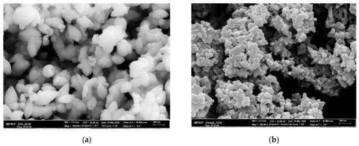 https://cdn.ncbi.nlm.nih.gov/pmc/blobs/d071/8512834/fc1d7ee9f5f1/polymers-13-03288-g002.jpg