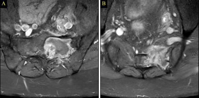 https://cdn.ncbi.nlm.nih.gov/pmc/blobs/d073/10924379/dd0a53272297/12890_2024_2943_Fig6_HTML.jpg