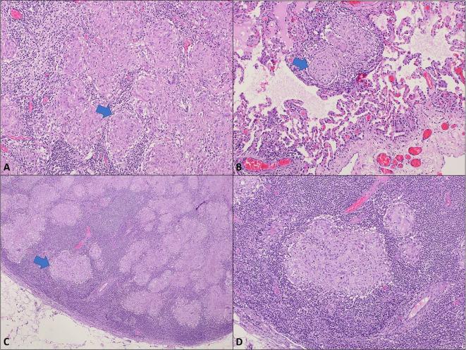 https://cdn.ncbi.nlm.nih.gov/pmc/blobs/d073/10924379/f6c292bd1d3a/12890_2024_2943_Fig8_HTML.jpg