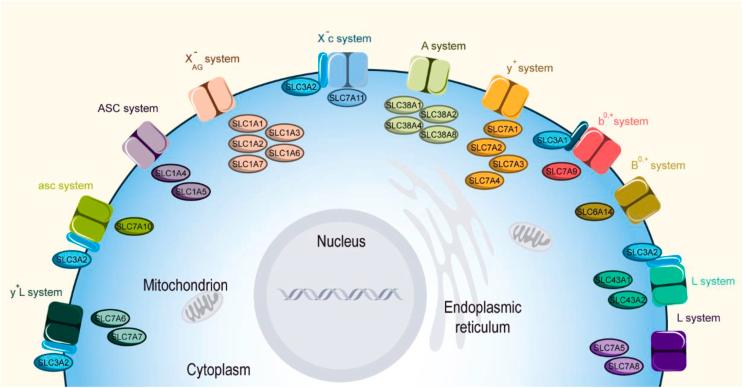 https://cdn.ncbi.nlm.nih.gov/pmc/blobs/d073/11112377/e8de5c085e51/gr1.jpg
