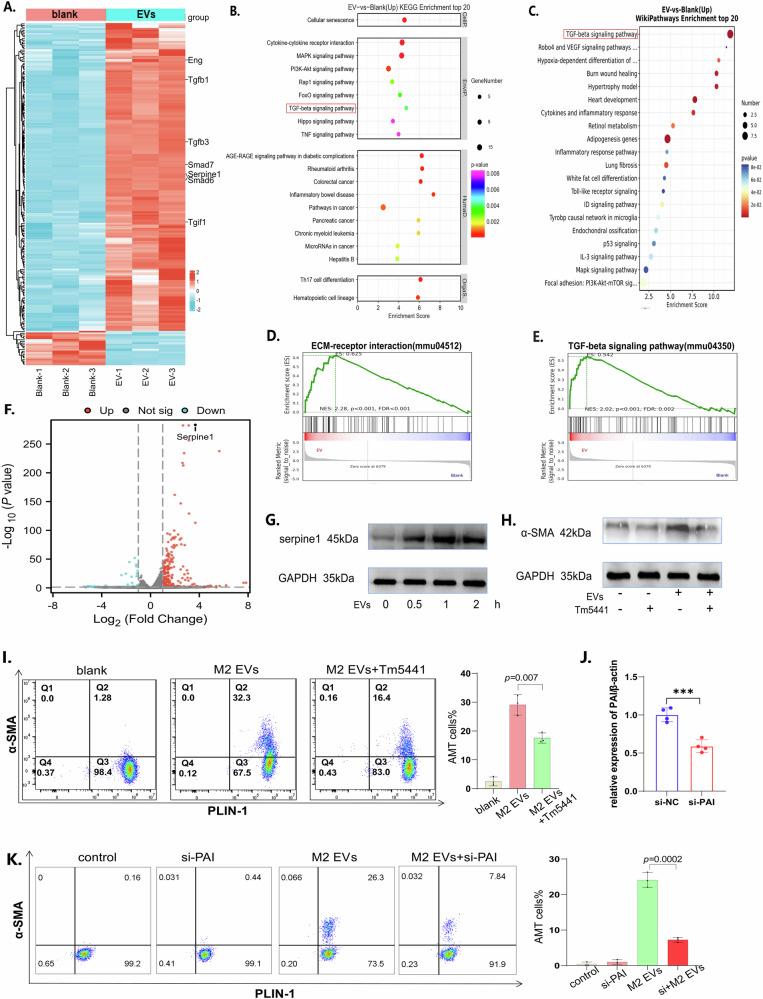 https://cdn.ncbi.nlm.nih.gov/pmc/blobs/d074/11685489/1126186169a4/41536_2024_388_Fig7_HTML.jpg