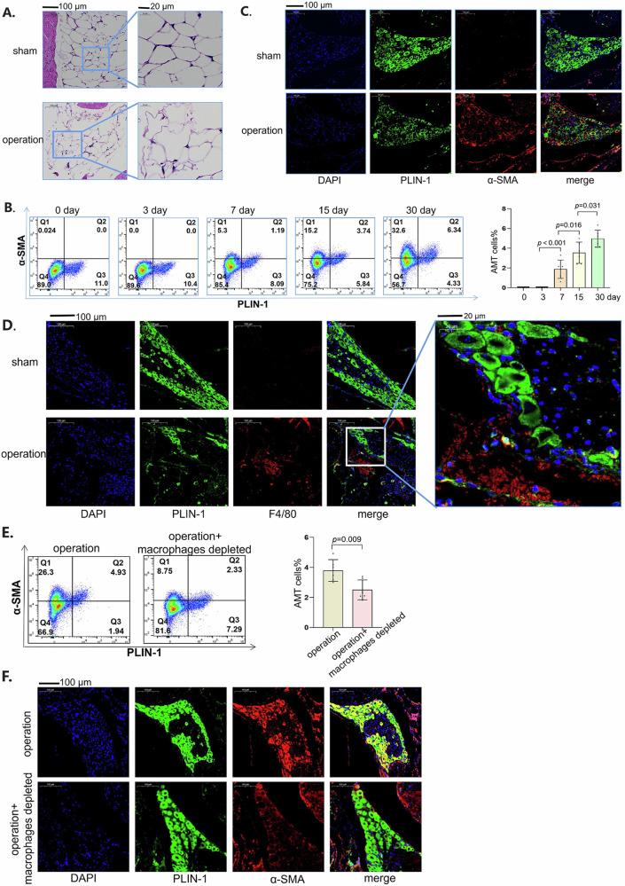 https://cdn.ncbi.nlm.nih.gov/pmc/blobs/d074/11685489/74776d2a04d0/41536_2024_388_Fig4_HTML.jpg