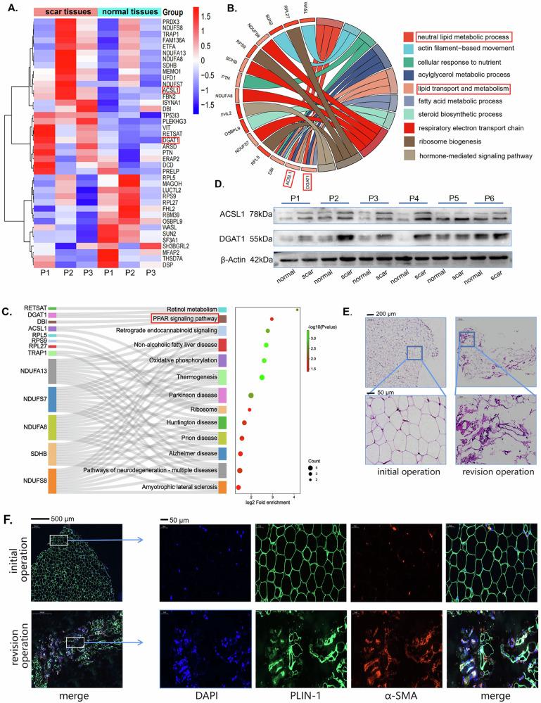 https://cdn.ncbi.nlm.nih.gov/pmc/blobs/d074/11685489/bdf6330b04e4/41536_2024_388_Fig3_HTML.jpg