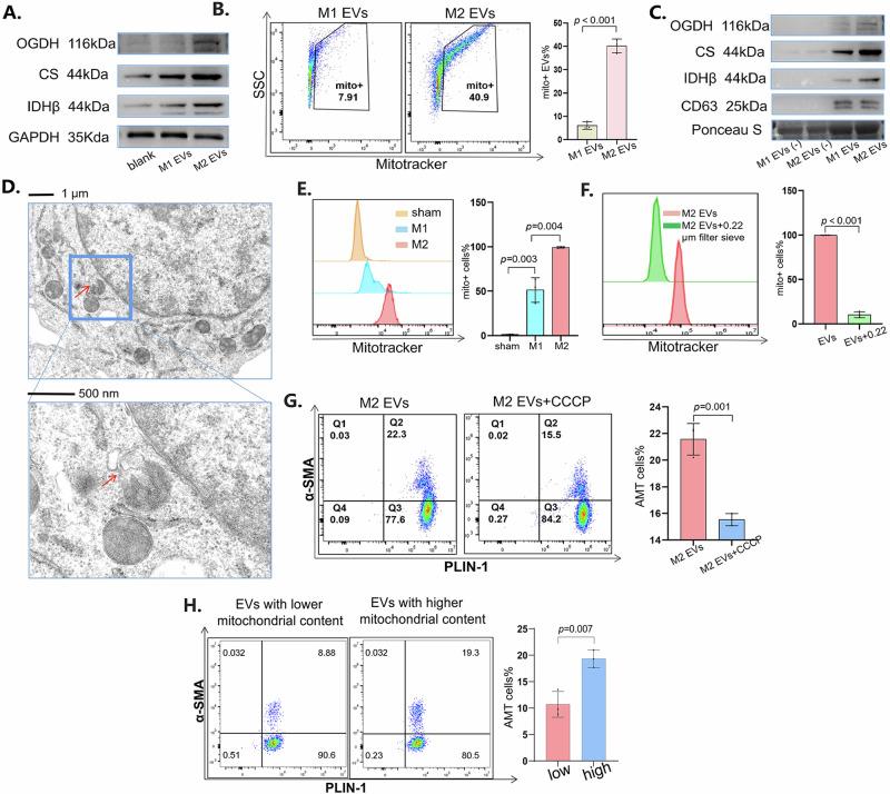 https://cdn.ncbi.nlm.nih.gov/pmc/blobs/d074/11685489/d177c3f3c4cc/41536_2024_388_Fig6_HTML.jpg