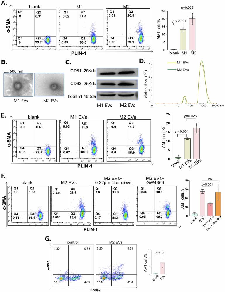 https://cdn.ncbi.nlm.nih.gov/pmc/blobs/d074/11685489/ecc979fc02d5/41536_2024_388_Fig5_HTML.jpg