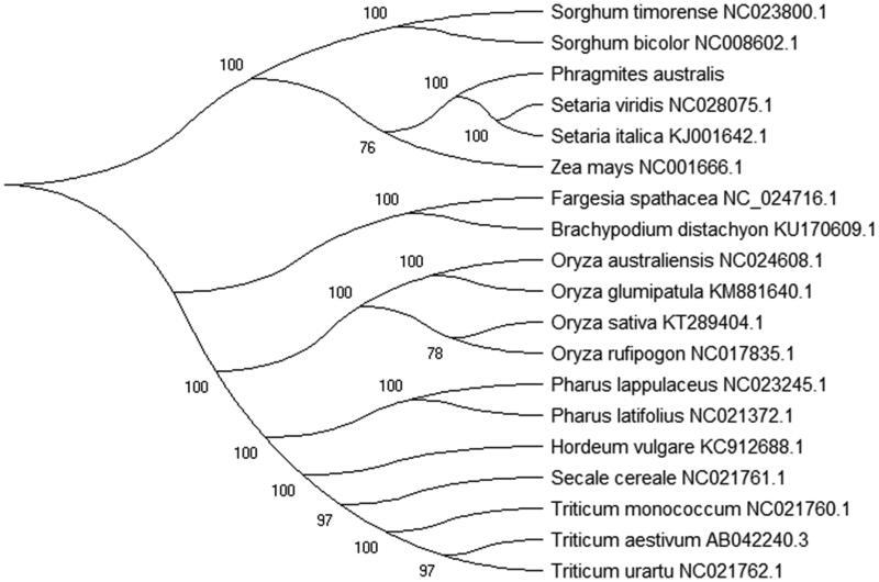 https://cdn.ncbi.nlm.nih.gov/pmc/blobs/d074/7748783/456bf601adaa/TMDN_A_1720544_F0001_B.jpg