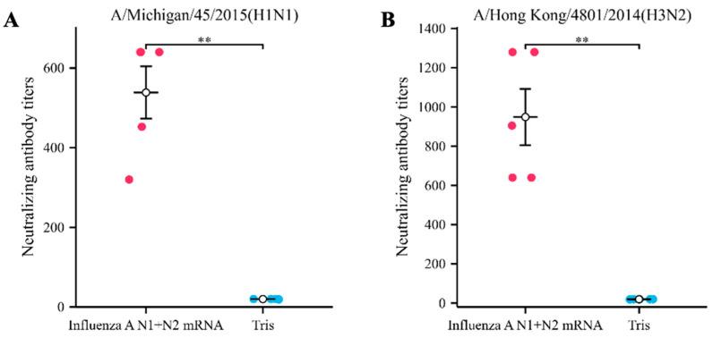 https://cdn.ncbi.nlm.nih.gov/pmc/blobs/d076/10974139/9abf2db0cb80/vaccines-12-00300-g002.jpg
