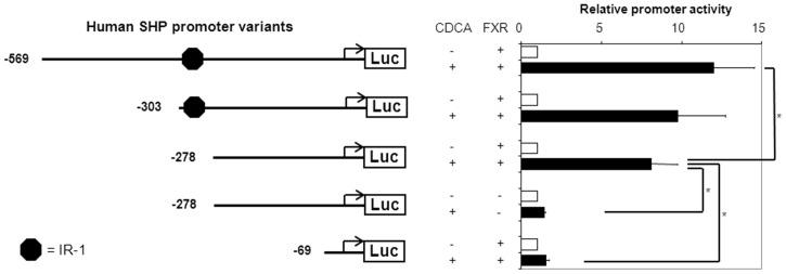 https://cdn.ncbi.nlm.nih.gov/pmc/blobs/d076/3912179/e5307a205e6c/pone.0088011.g002.jpg
