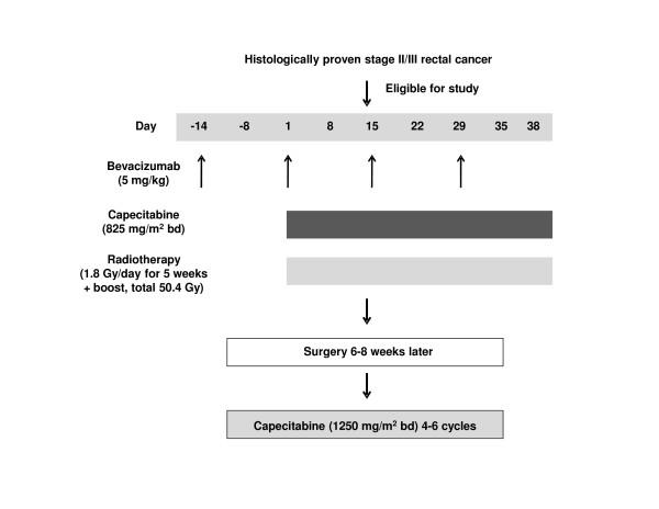 https://cdn.ncbi.nlm.nih.gov/pmc/blobs/d077/3179720/3c252033b318/1748-717X-6-105-1.jpg