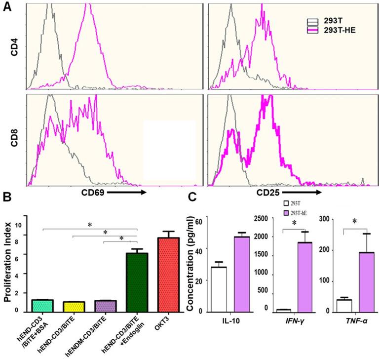 https://cdn.ncbi.nlm.nih.gov/pmc/blobs/d077/8120215/0e321c4a1abc/thnov11p6393g005.jpg