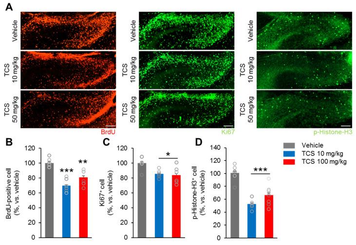 https://cdn.ncbi.nlm.nih.gov/pmc/blobs/d078/7312693/26b665bf4e0e/ijms-21-04009-g002a.jpg